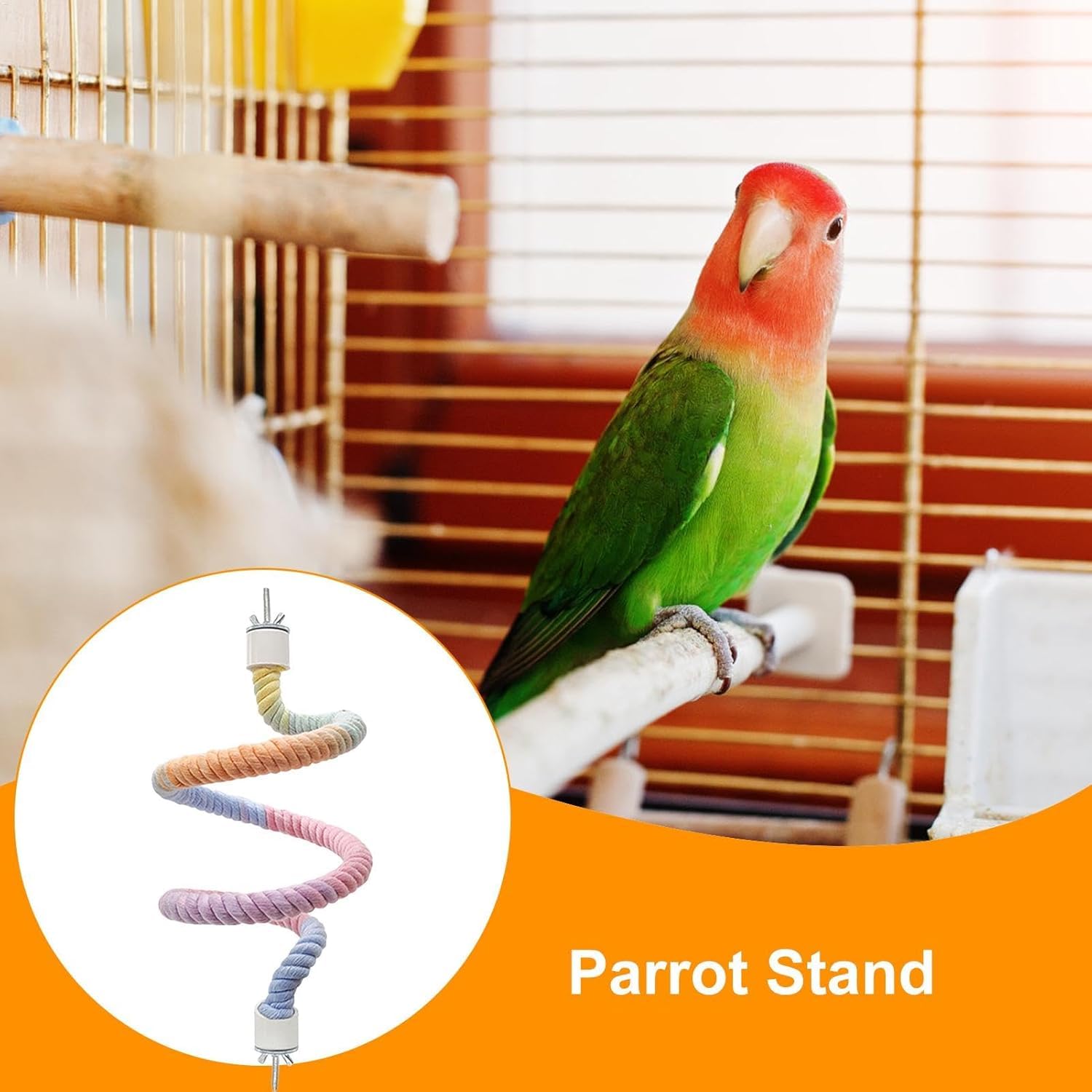 Generic mise en scène dans cage montrant intégration et confort pour oiseaux