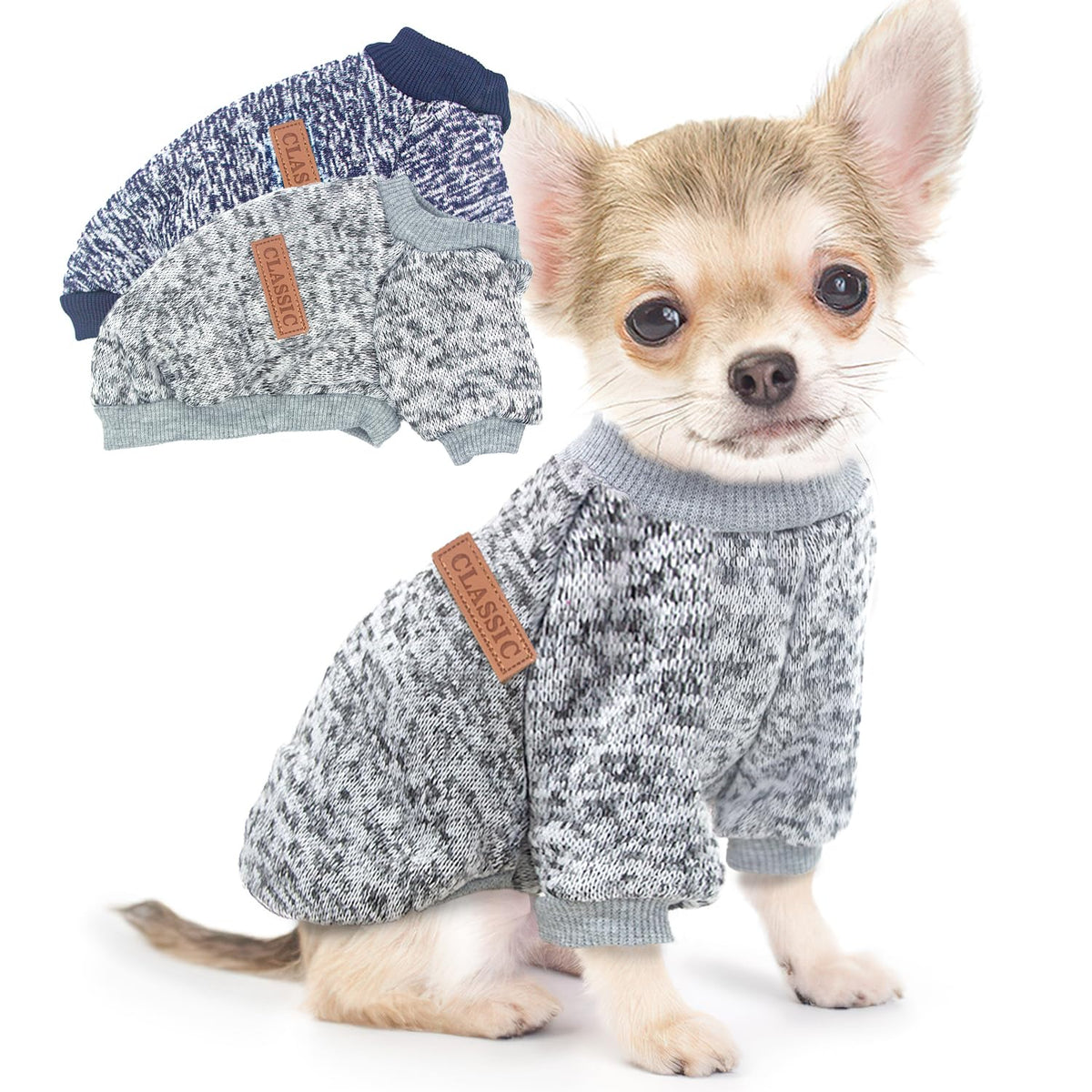 Generic pull chien vue devant montrant coupe et confort