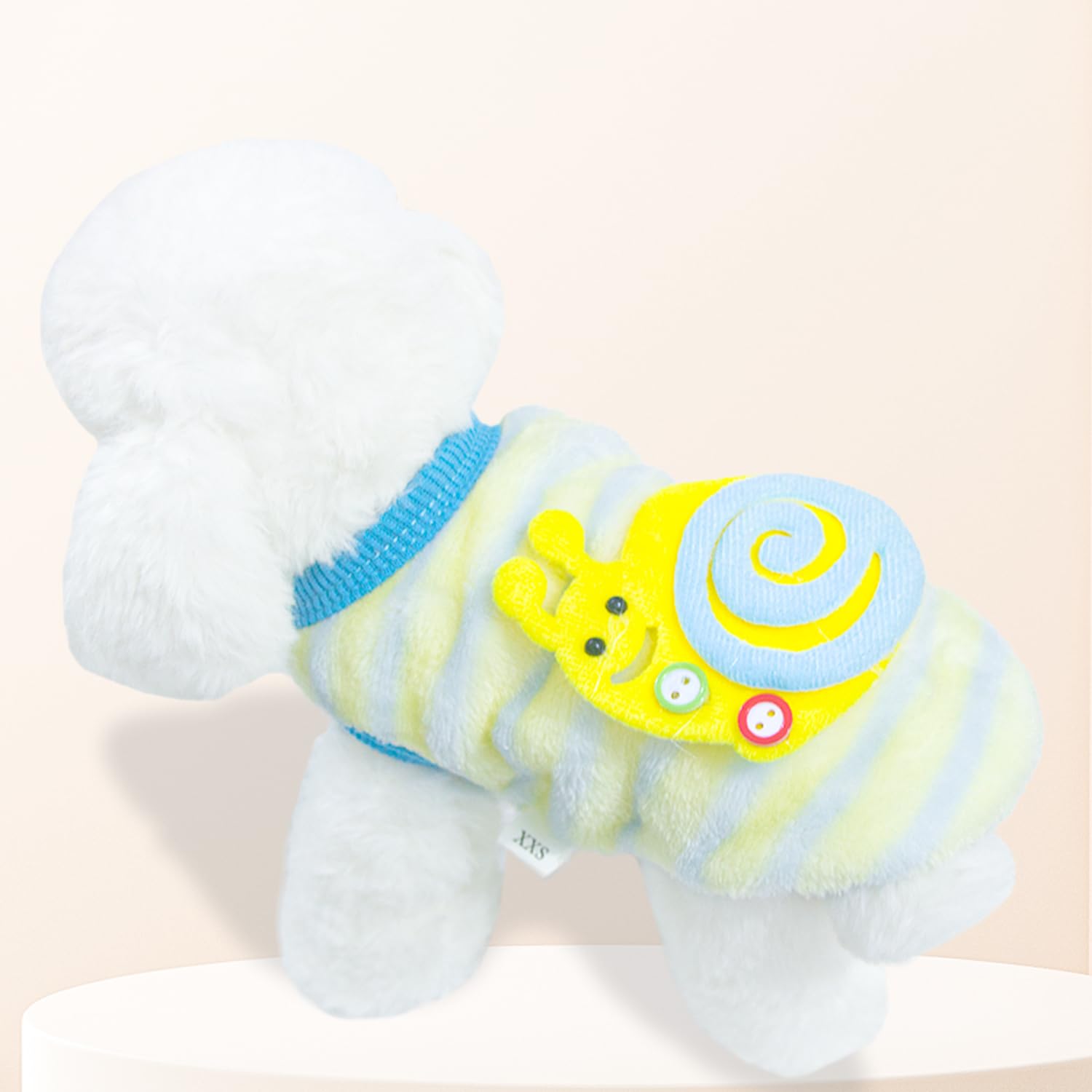 Generic scène intérieure chiot au chaud portant le pull confortable