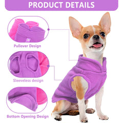 Generic chien en promenade portant pull polaire pour liberté
