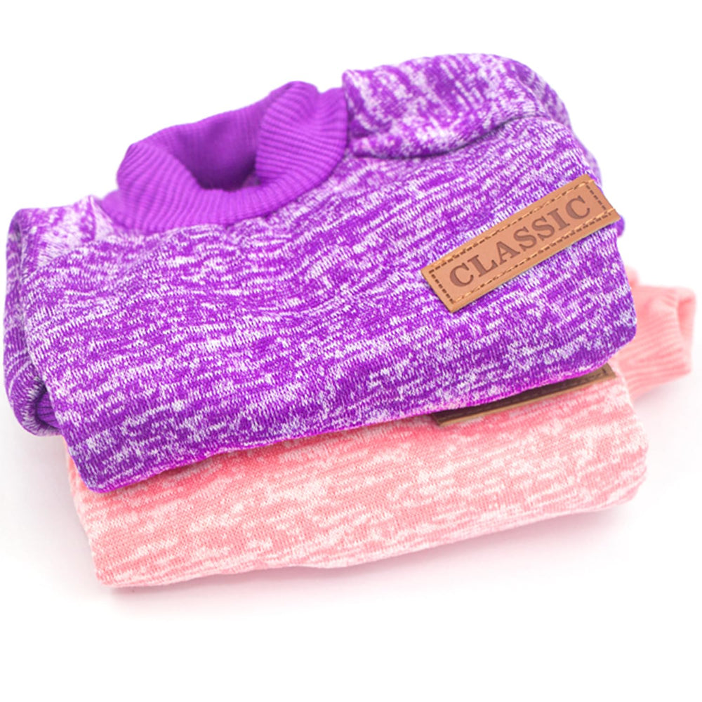 Generic pull scène domestique stylée gardant le chien au chaud