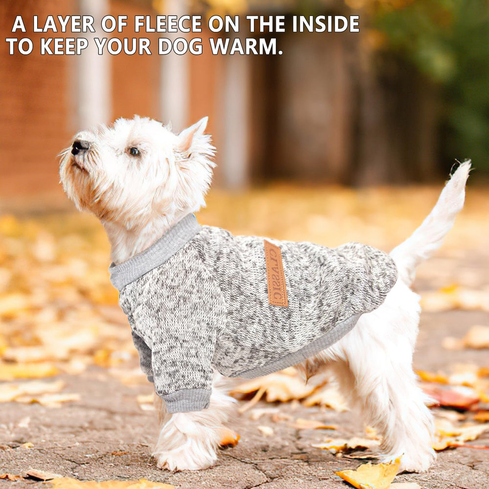 Generic pull sur teacup yorkie look chaud et mignon