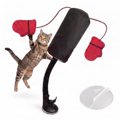 Generic vue frontale du sac de boxe pour chat montrant la forme et la stabilité