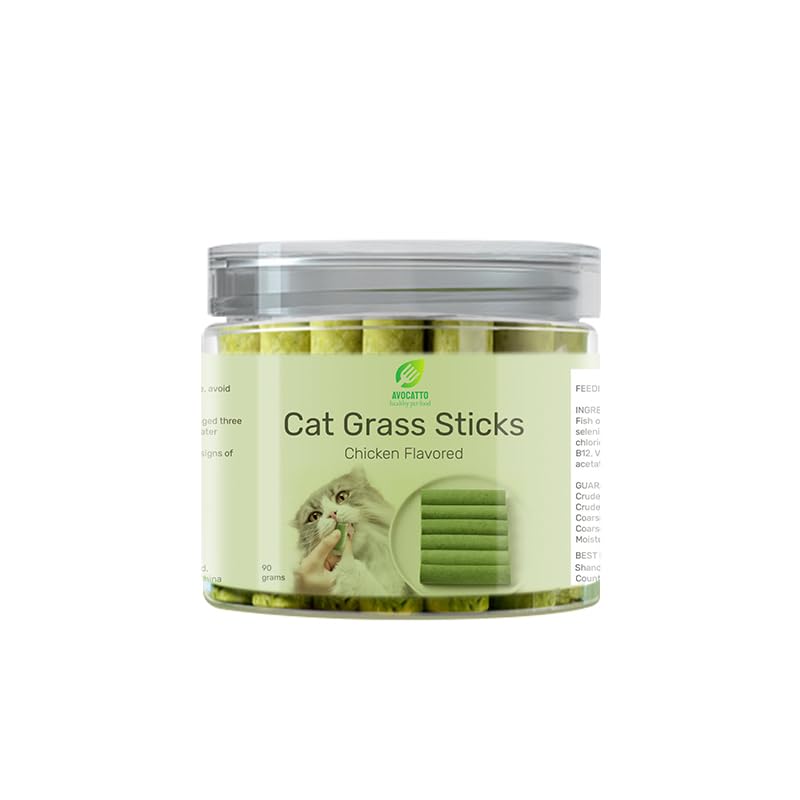 Generic chat mange un bâtonnet en intérieur pour digestion et plaisir bénéfique