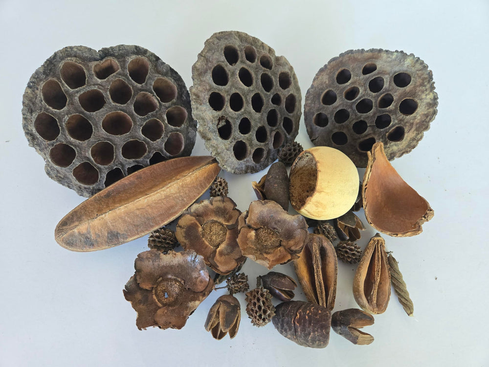 Generic pods package vue d'ensemble montrant la diversité et valeur décorative