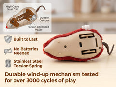 Generic souris en usage avec chat favorisant exercice et chasse naturelle