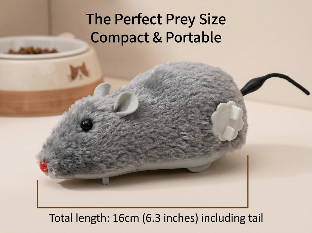 Generic gros plan fourrure montrant texture douce et attrayante pour le chat