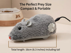 Generic gros plan fourrure montrant texture douce et attrayante pour le chat