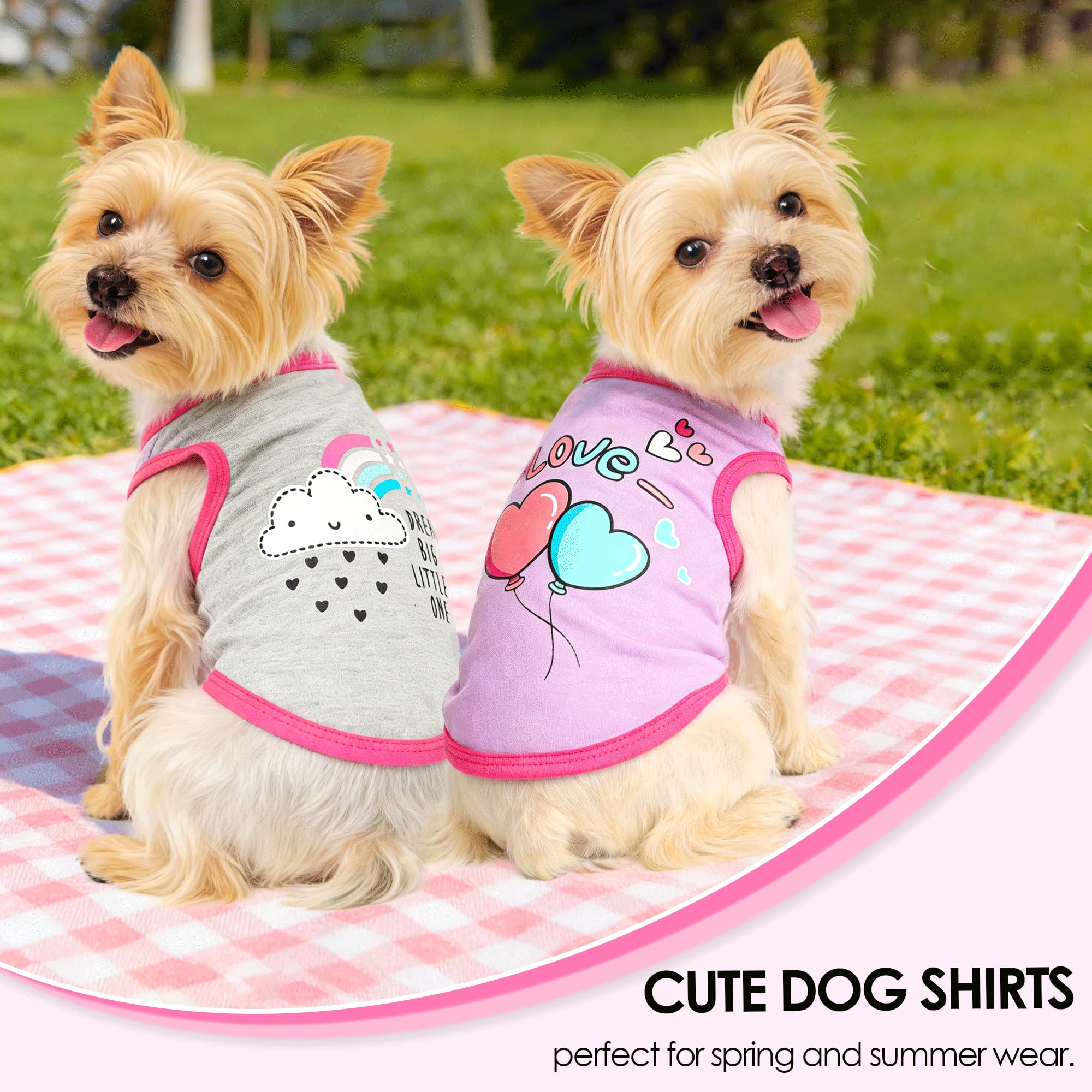 Generic t-shirt motif couronne élégant donnant un air princier au chien