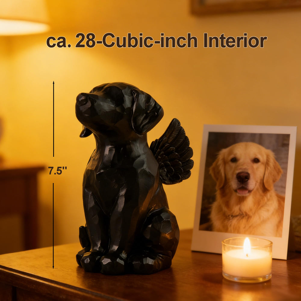 Generic urne pour chien gros plan sur la texture résine, finition résistante