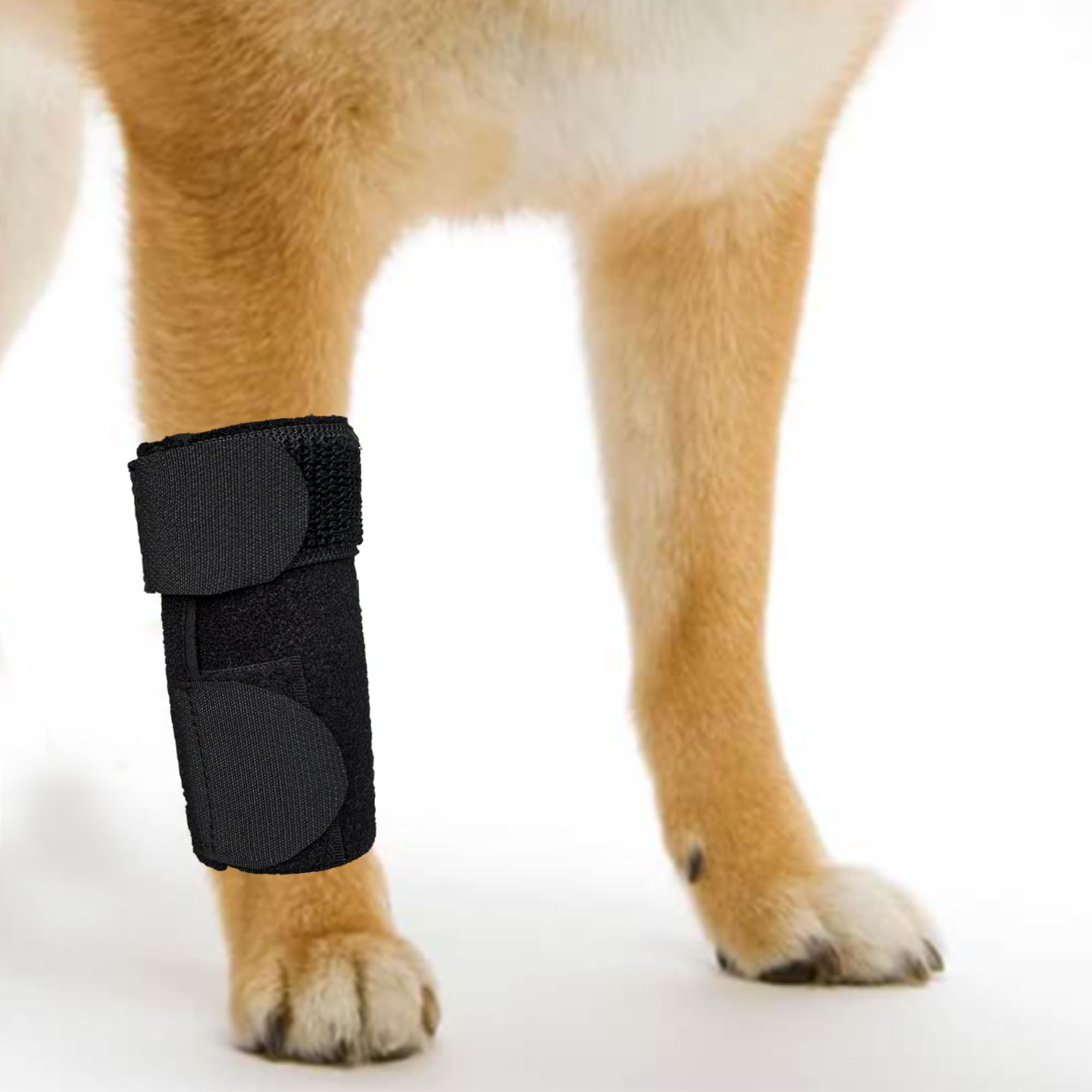 GenetGo attelle face avant montrant protection et maintien