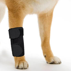 GenetGo attelle face avant montrant protection et maintien