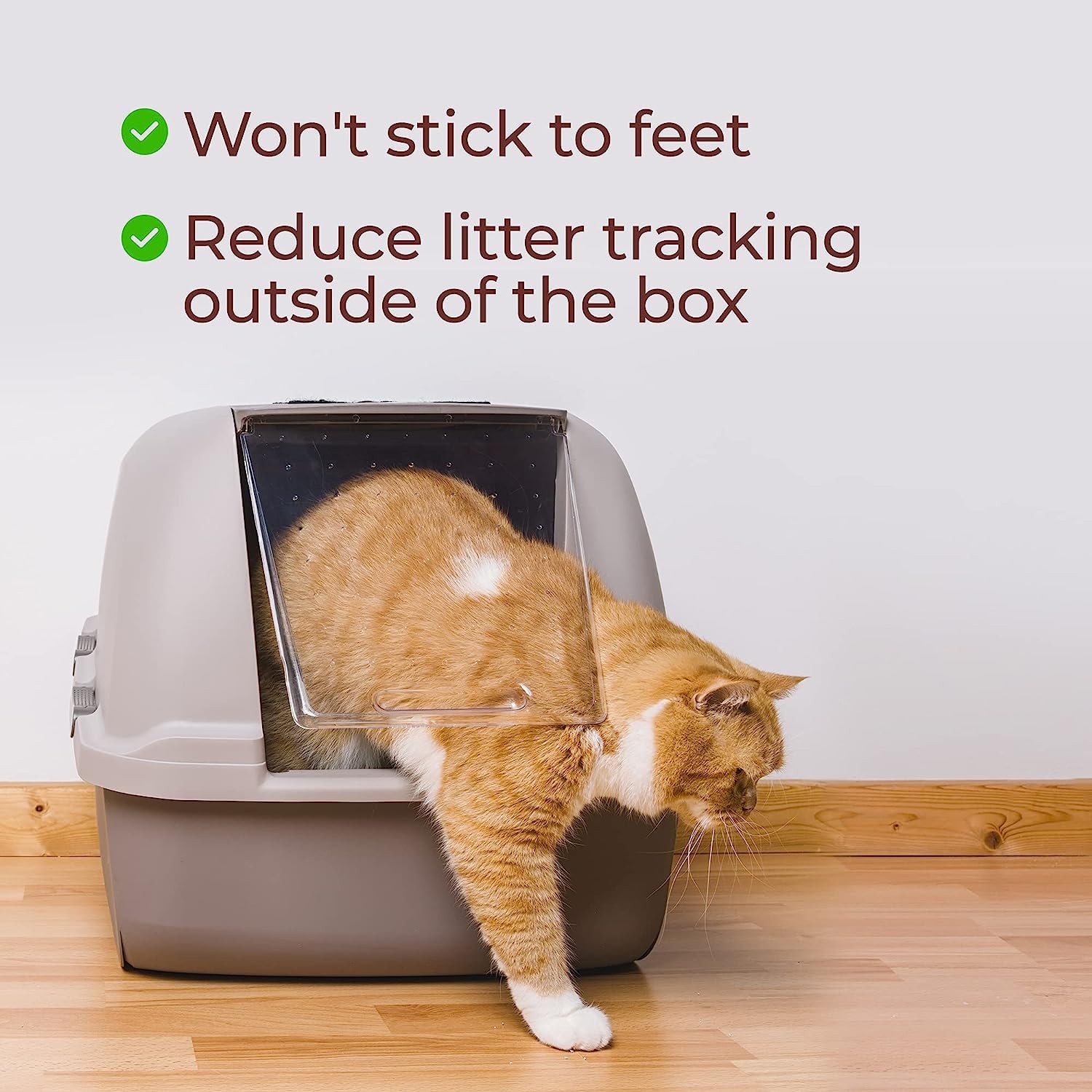Genius Litter autour du bac faible trace réduit salissures dans la maison
