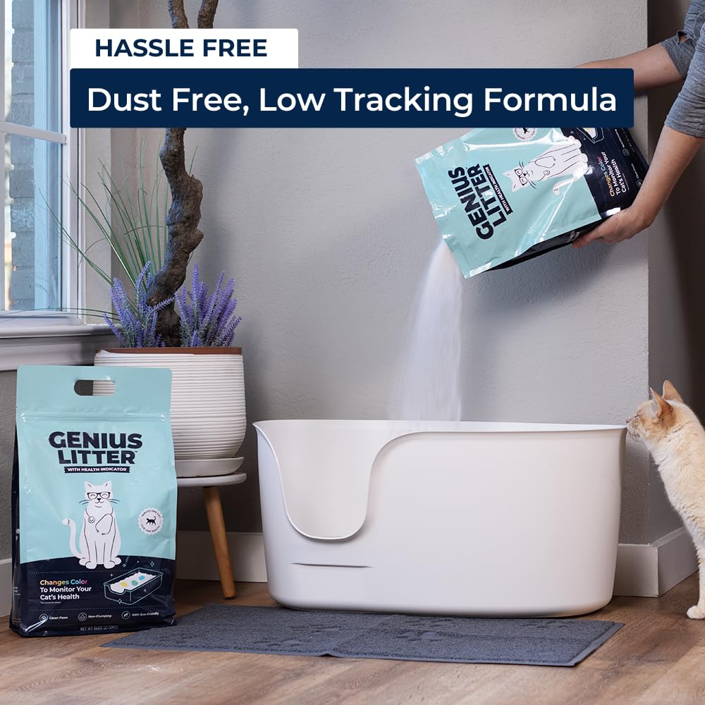 Genius Litter chat utilise bac illustrant confort et faible poussière