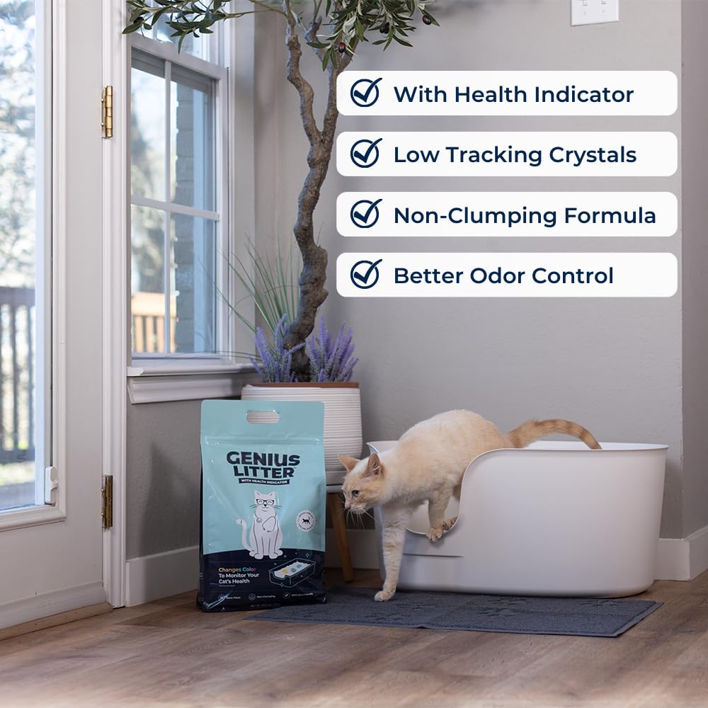 Genius Litter gros plan cristaux montrant texture absorbante et propreté