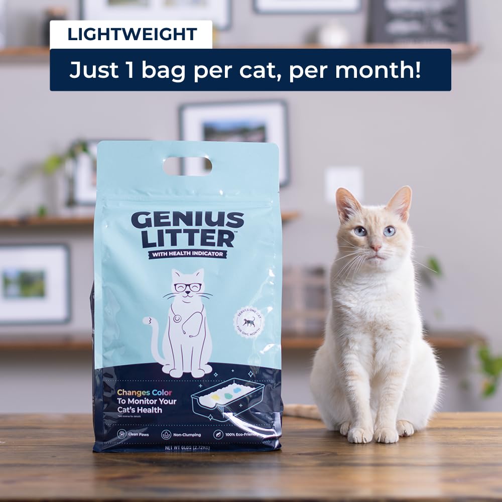 Genius Litter litière répartie dans bac montrant contrôle des odeurs