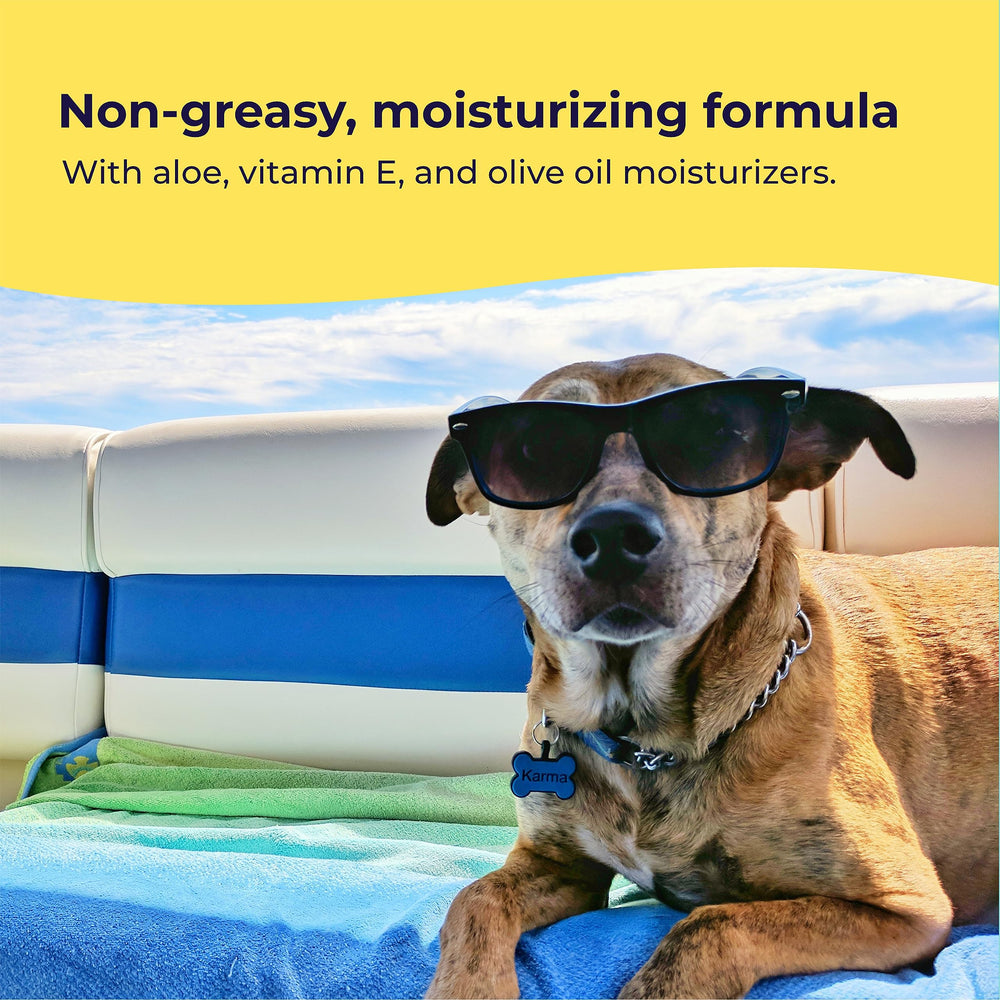 Gentle Creatures application sur oreille de chien montrant protection ciblée