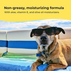 Gentle Creatures application sur oreille de chien montrant protection ciblée
