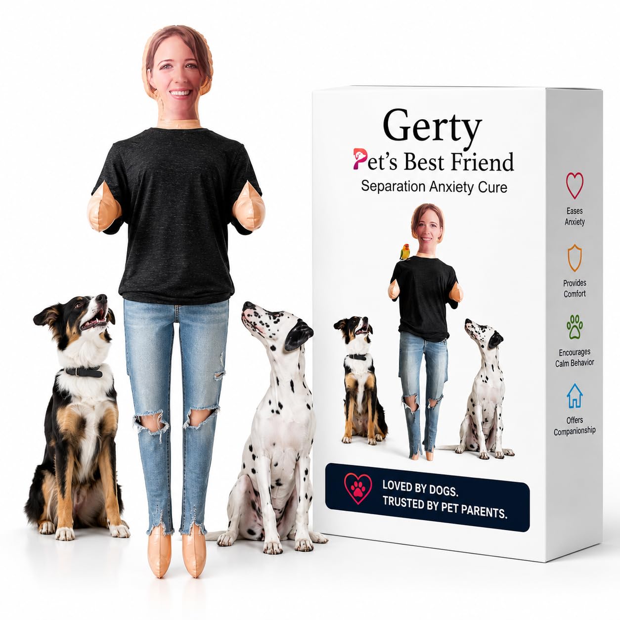 Gerty taille comparée à un chien pour visualiser proportions réelles