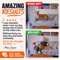 Gerty utilisée par un chien calme grâce à la présence rassurante