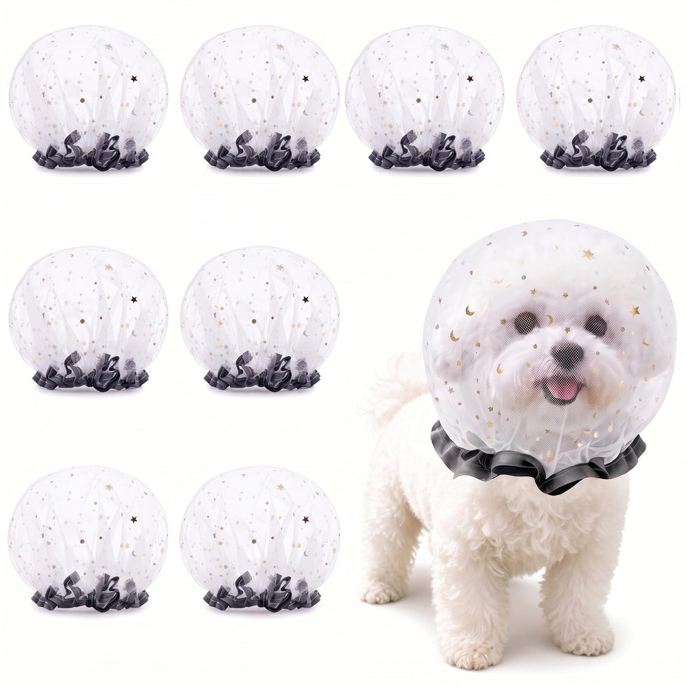 Gexalno vue avant du kit 8PCS montre packaging et protection pratique