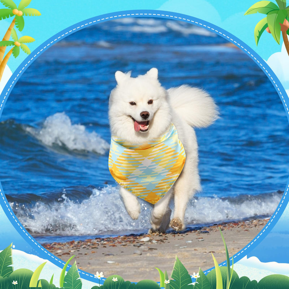 Geyoga bandana porté sur chat illustrant polyvalence pour chiens et chats
