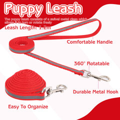 GGSTDDUP laisse 120 cm solide pour promenades et entraînements