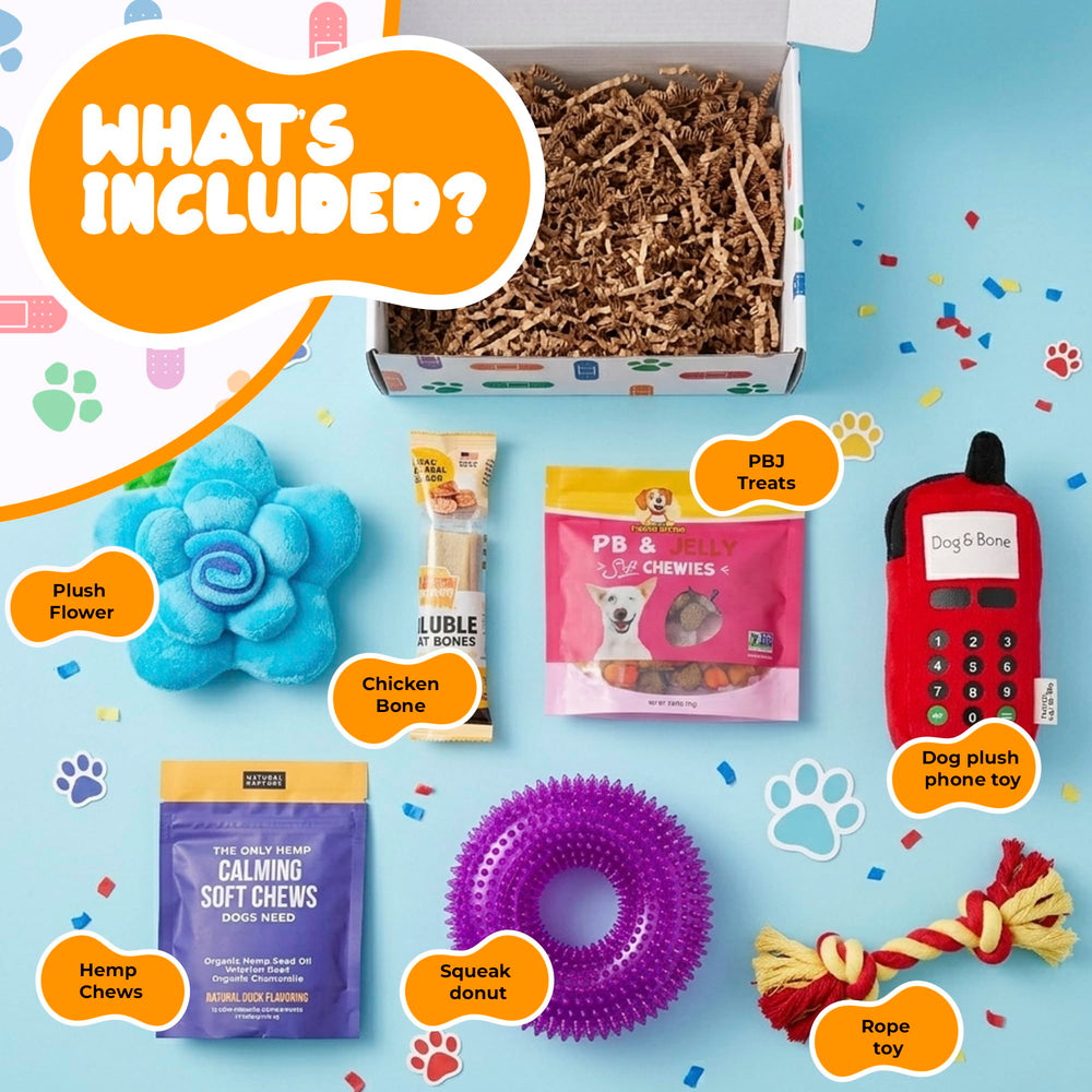 GiftWorld contenu aperçu avec jouets et friandises, soulage et distrait