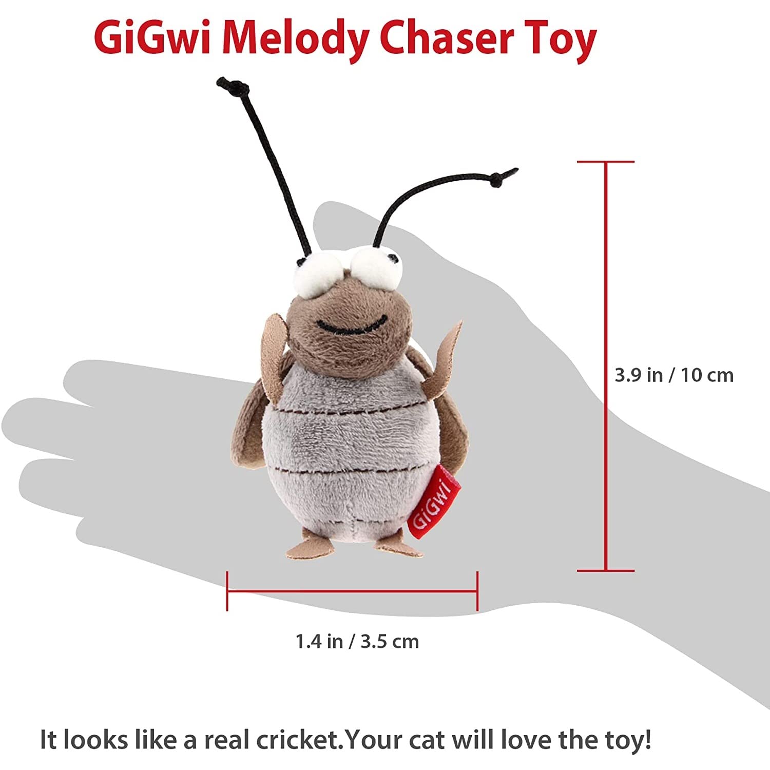 Gigwi cricket chat joue activement stimule instinct chasseur en intérieur