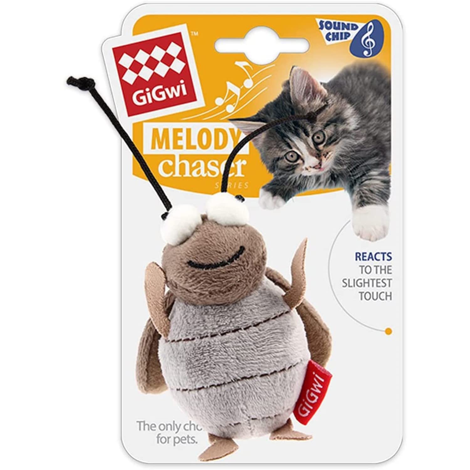Gigwi cricket comparaison taille dans la main montre format adapté