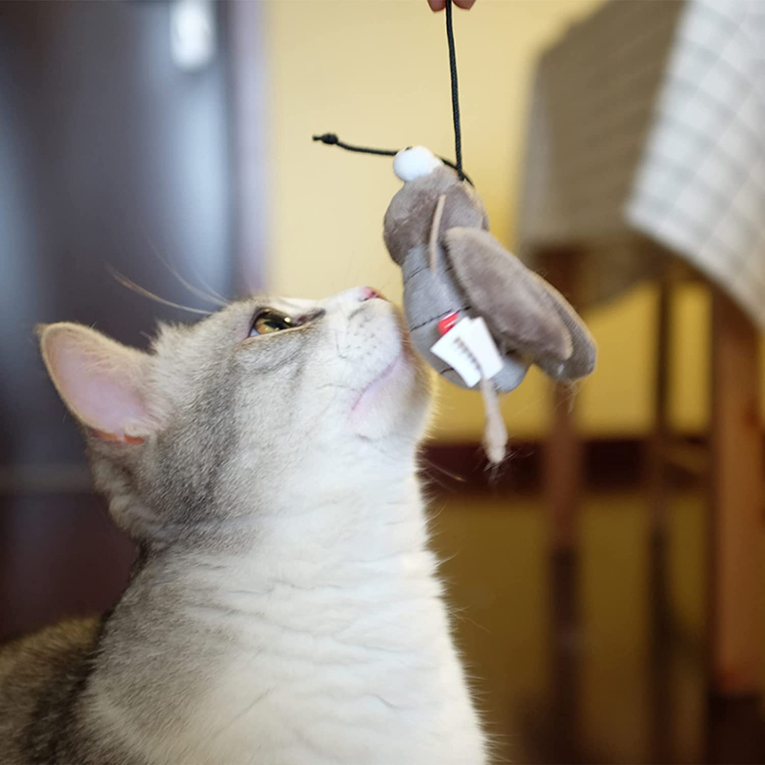 Gigwi cricket posé sur sol de salon encourage jeu quotidien sécurisé