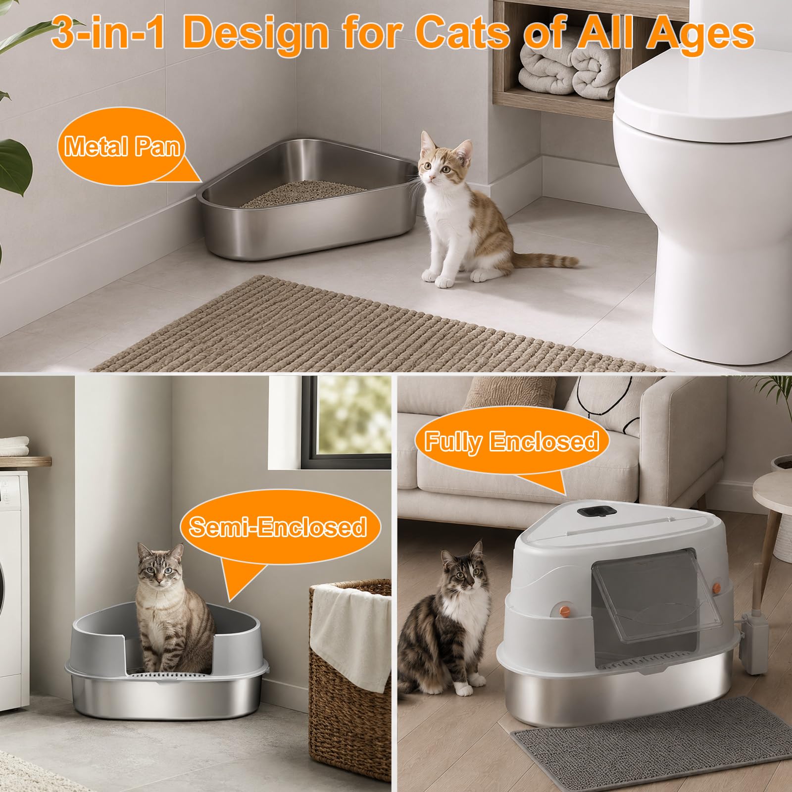 Gimars comparaison taille avec chat adulte illustrant espace intérieur