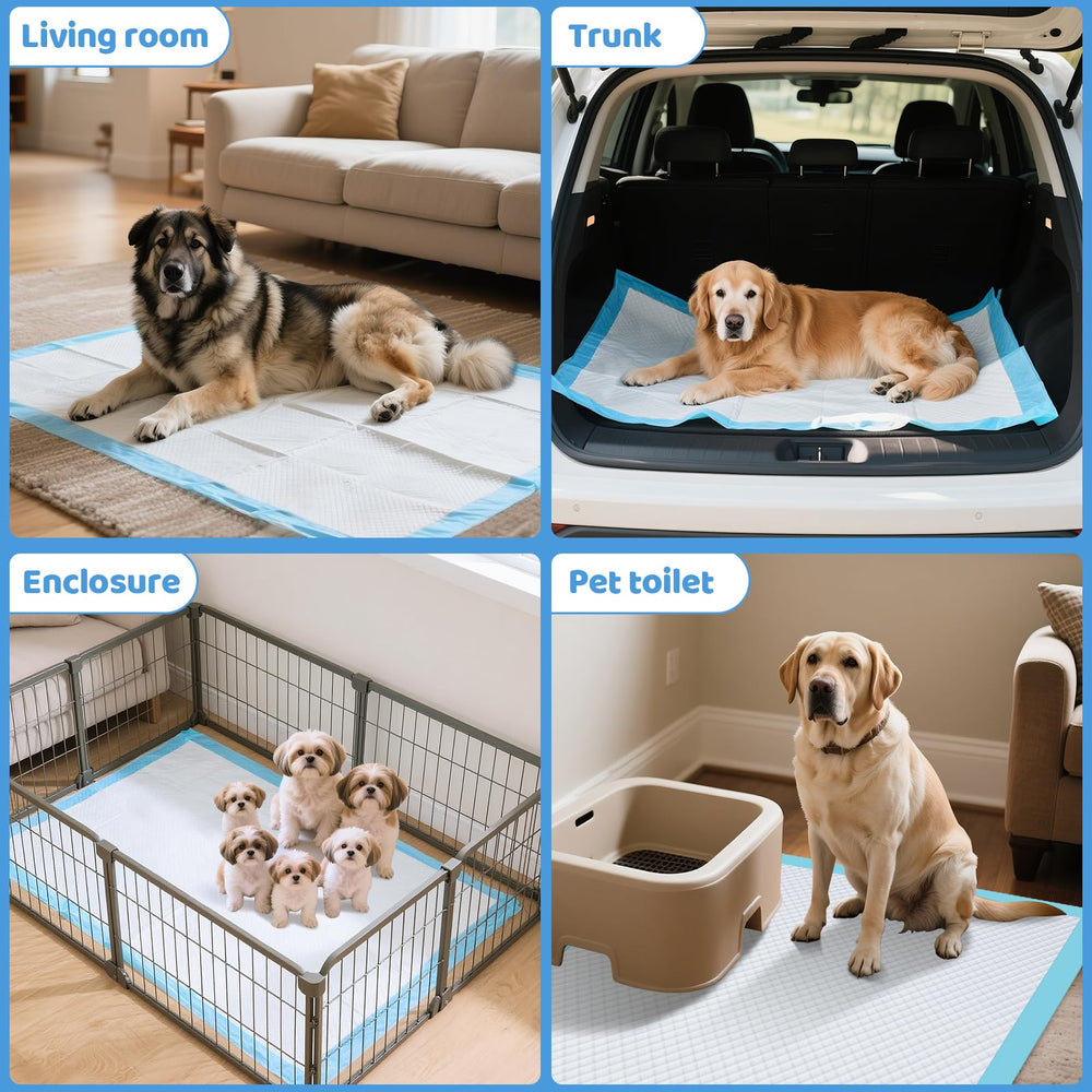 Gimars comparaison taille 31x55 avec chien illustrant couverture étendue