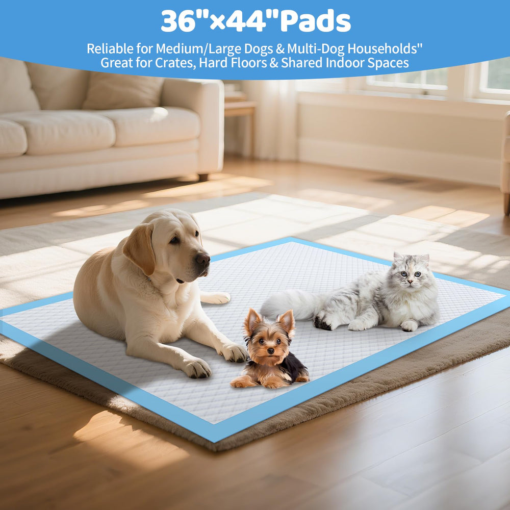 Gimars gros plan du noyau absorbant apportant absorption rapide