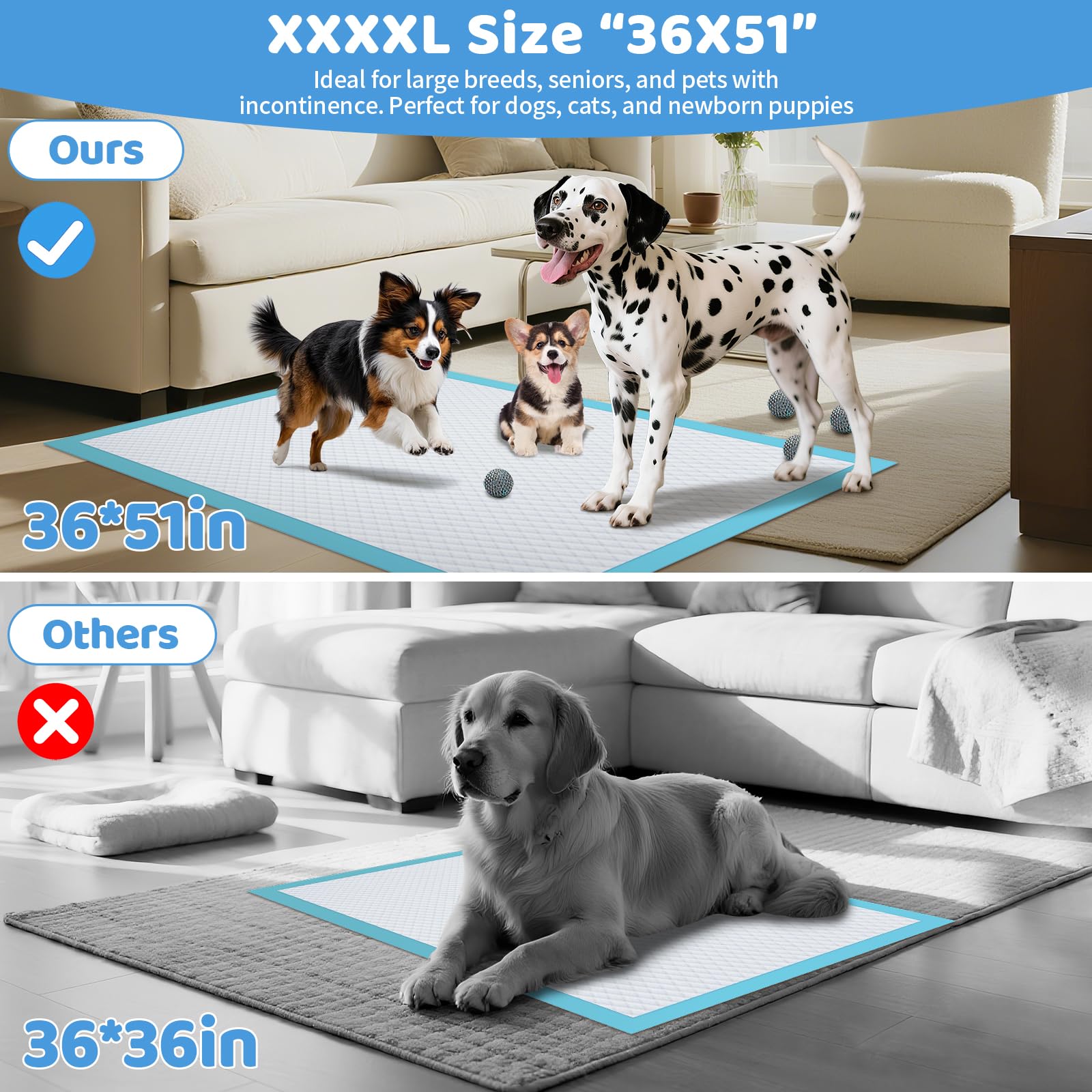 Gimars gros plan de la texture absorbante pour absorption rapide