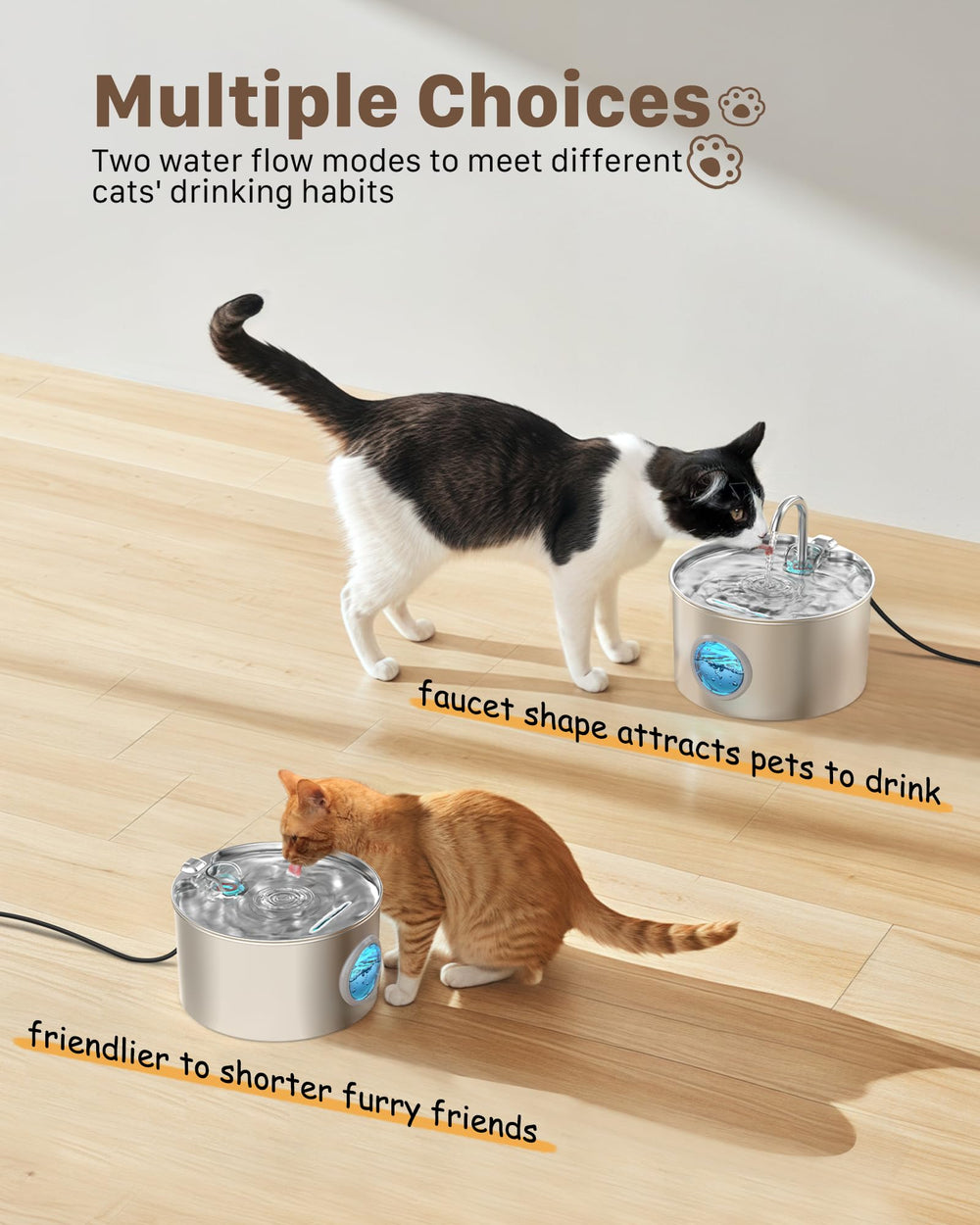 GIOTOHUN chat buvant encouragé par eau courante saine et fraîche