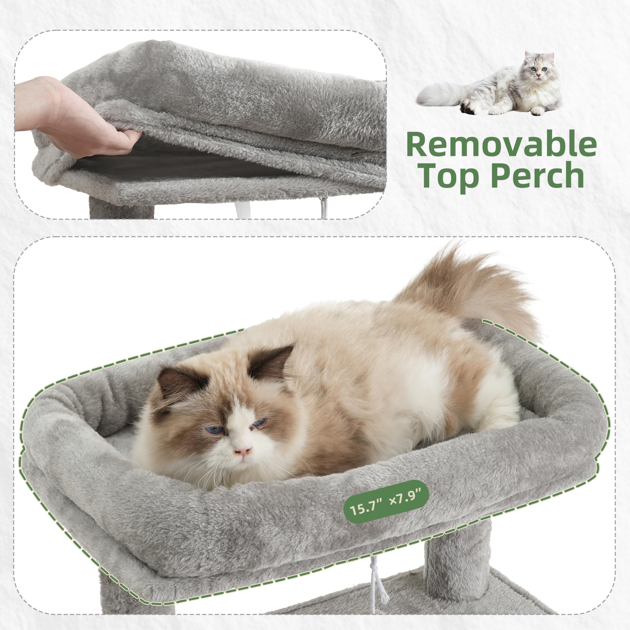 Gitelsnour gros plan sisal naturel résistant pour griffes durables