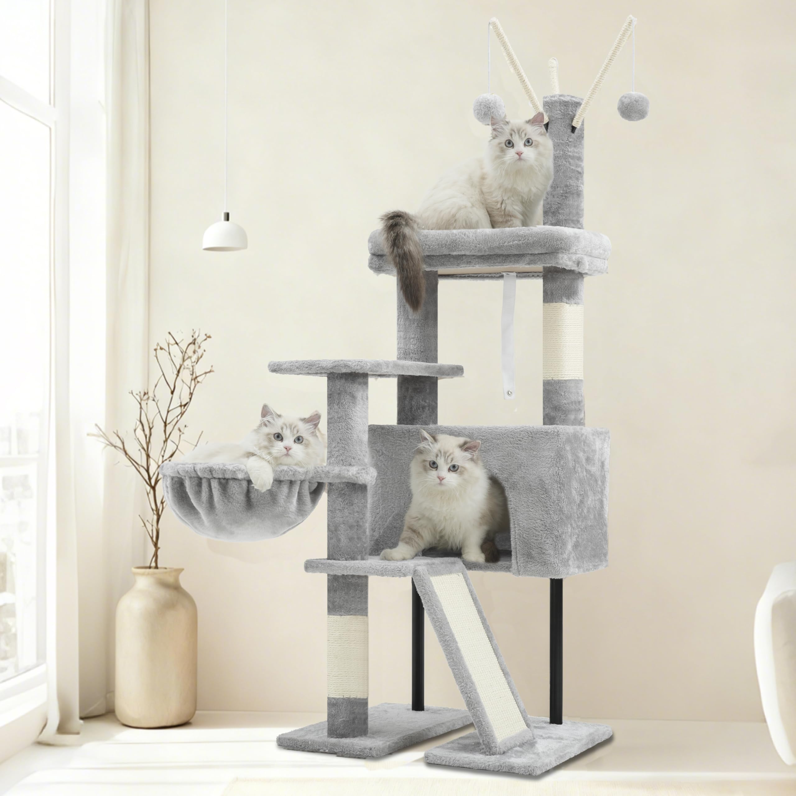 Gitelsnour photo montrant échelle et proportions pour petits chats et chatons