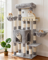 Gitelsnour vue avant de la tour montrant stabilité et multiple niveaux pour chats