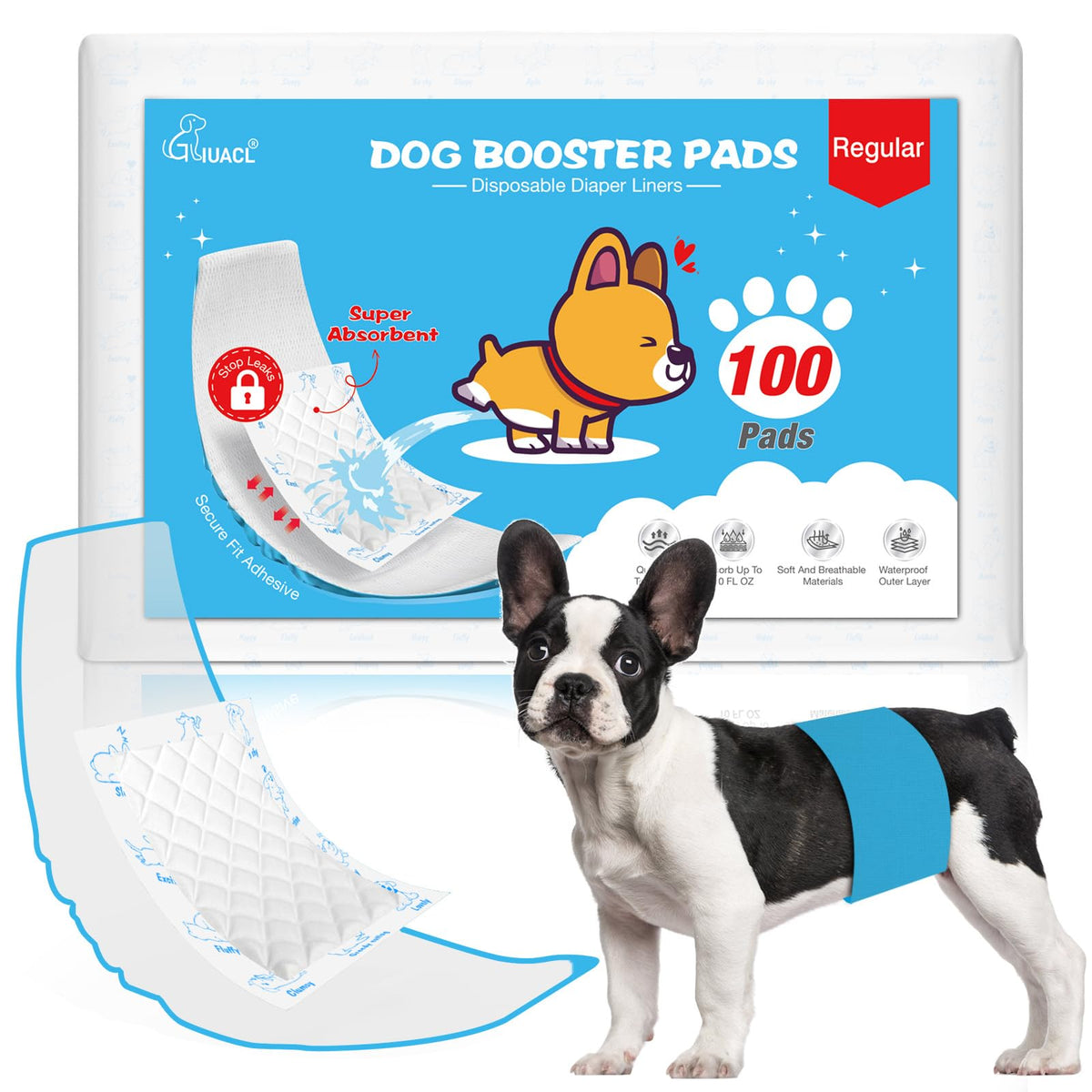 GIUACL emballage avant montrant 100 inserts et informations produit, protection pratique