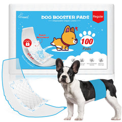 GIUACL emballage avant montrant 100 inserts et informations produit, protection pratique