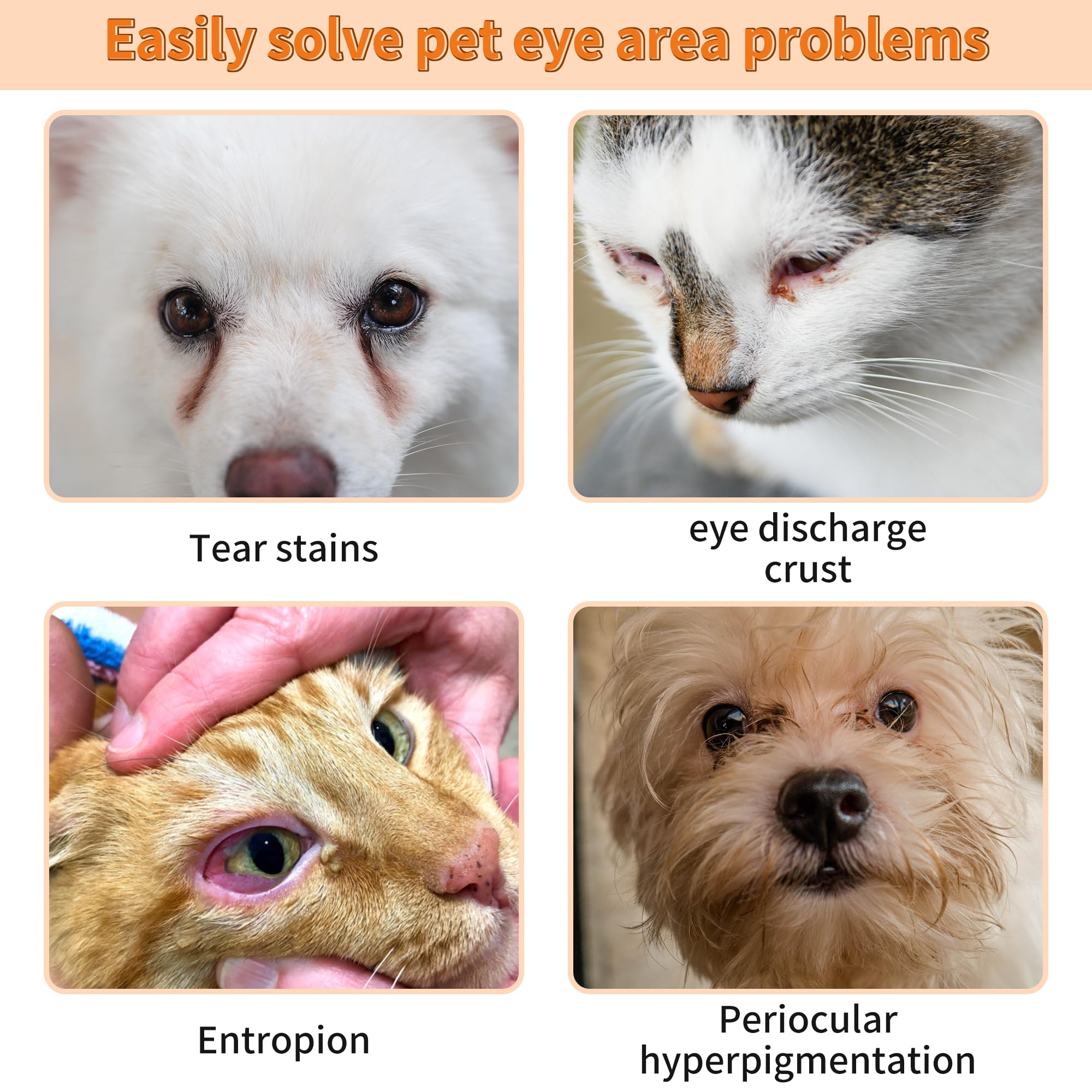 GJYC PET chien blanc usage produit pour yeux propre et apparence soignée