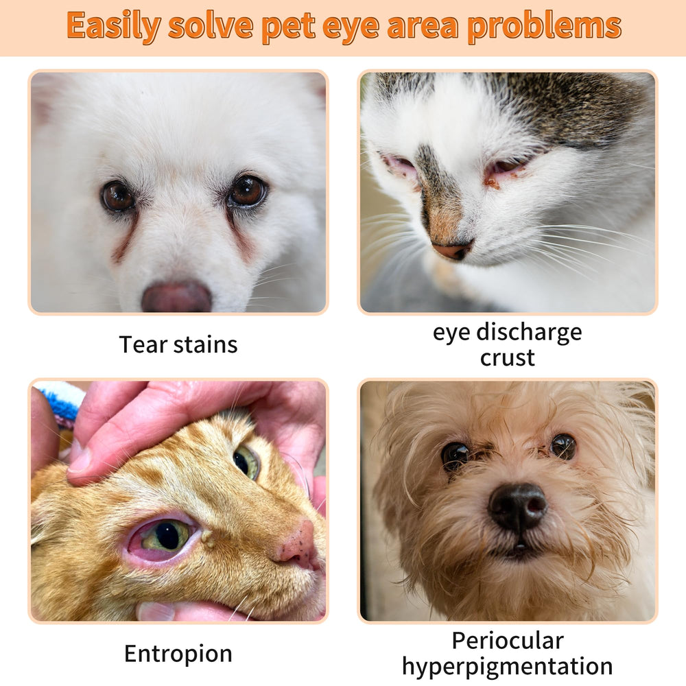 GJYC PET chien blanc usage produit pour yeux propre et apparence soignée