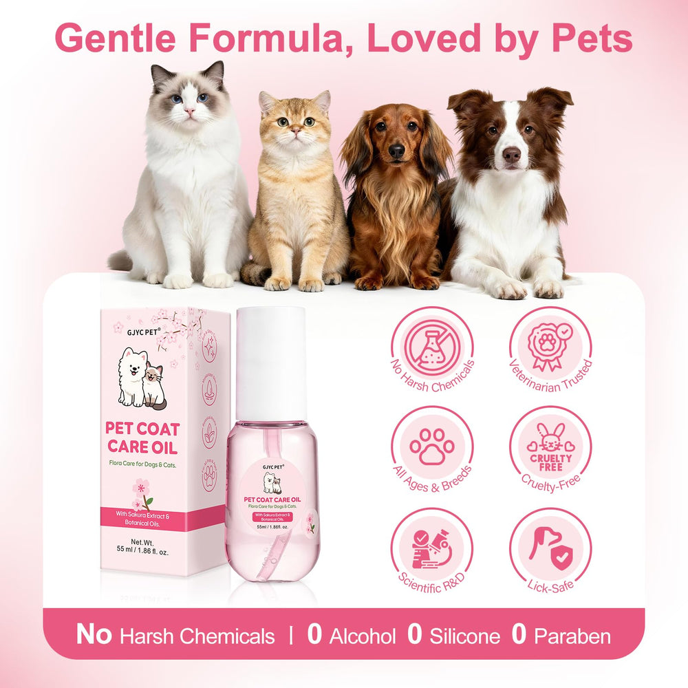 GJYC PET scène salon animal montrant pelage soyeux et moment câlin