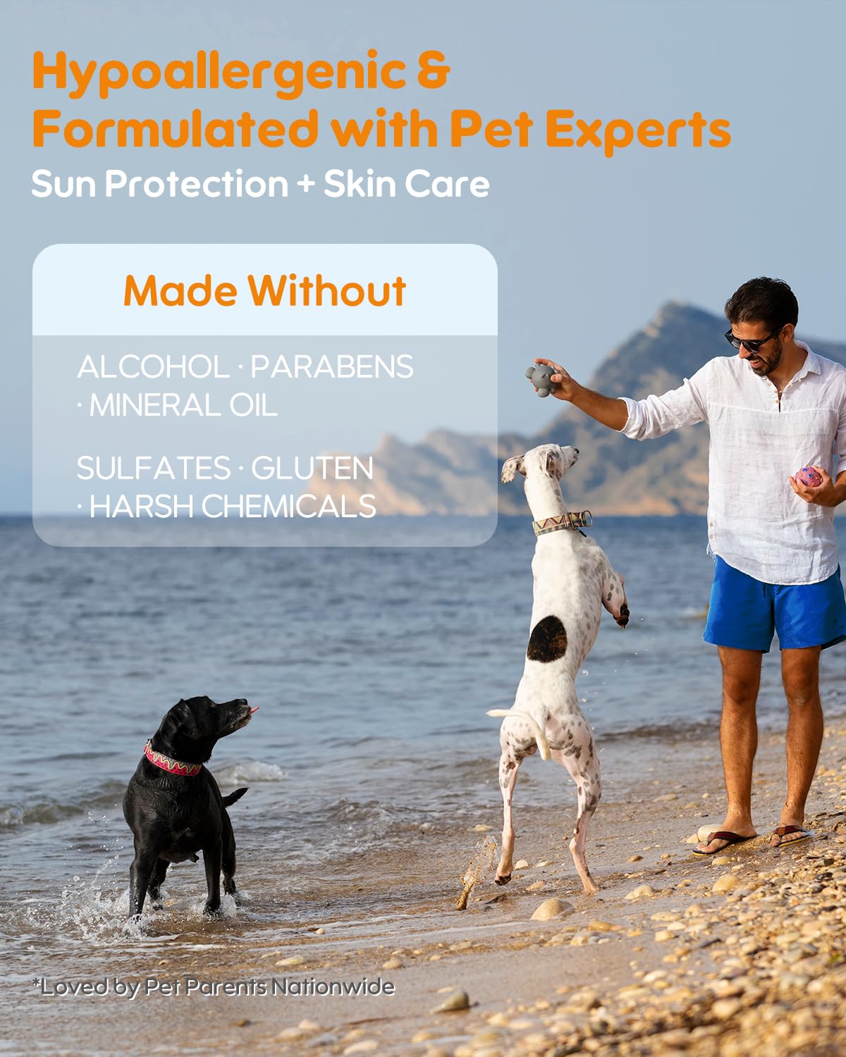 GJYC PET chien sur la plage après application, protection solaire résistante