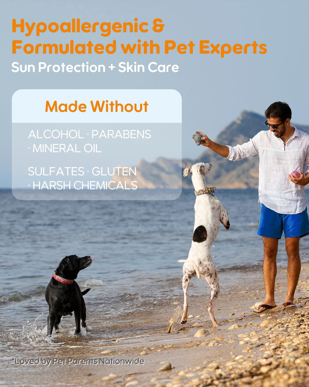 GJYC PET chien sur la plage après application, protection solaire résistante