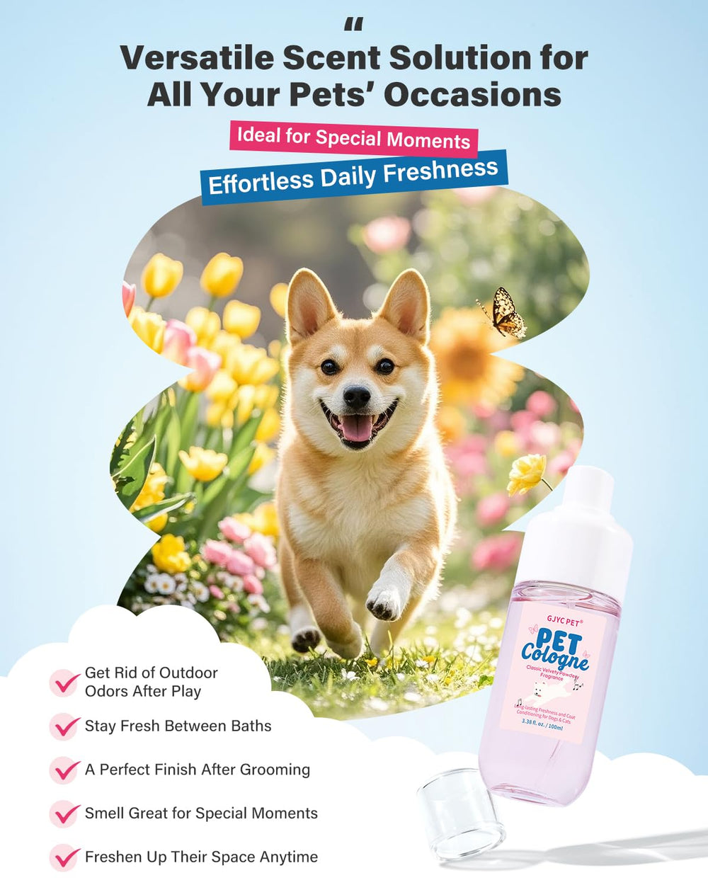 GJYC PET close-up pelage doux montrant effet assouplissant