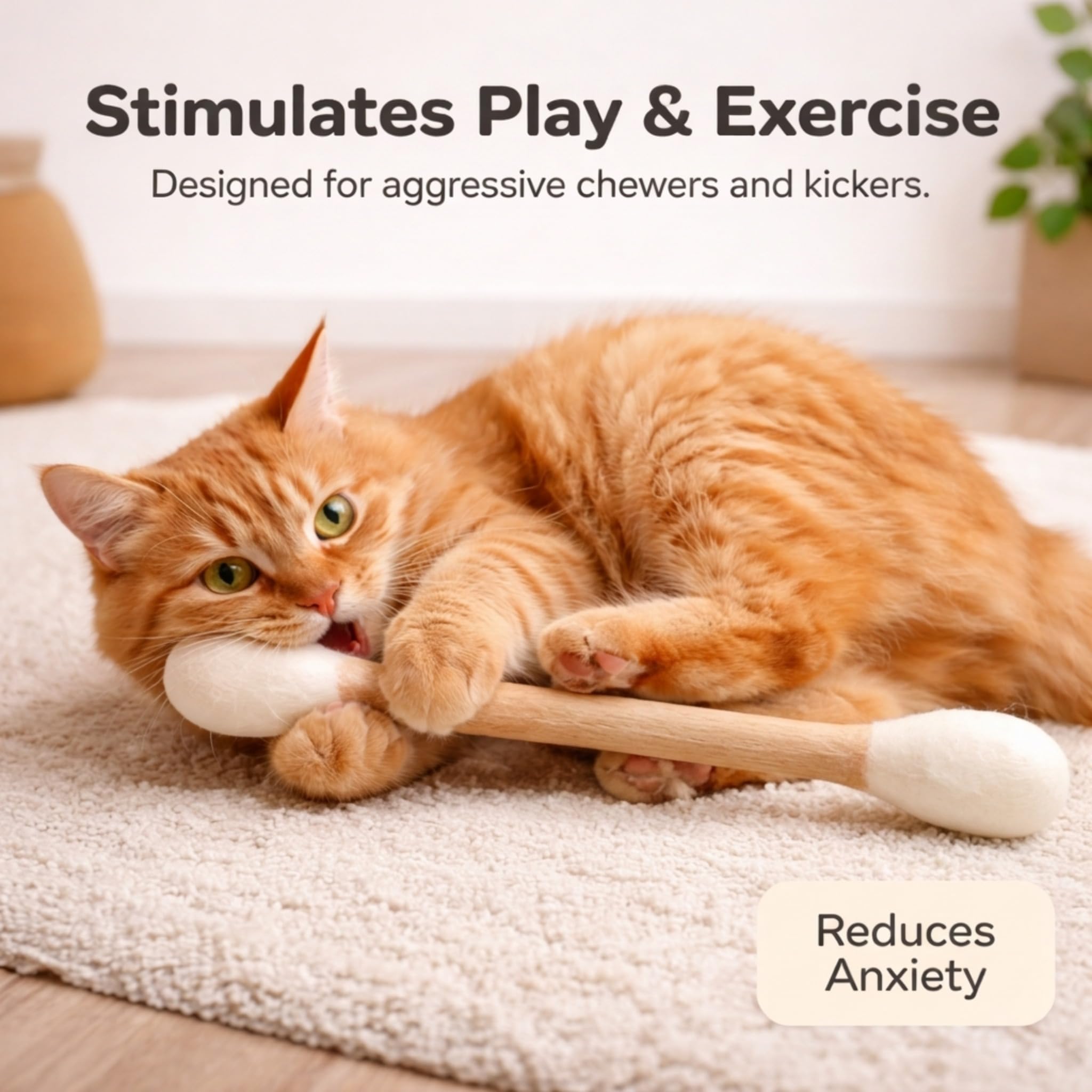 Glaciart One chat jouant encourage exercice et chasse ludique
