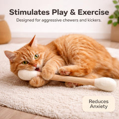 Glaciart One chat jouant encourage exercice et chasse ludique