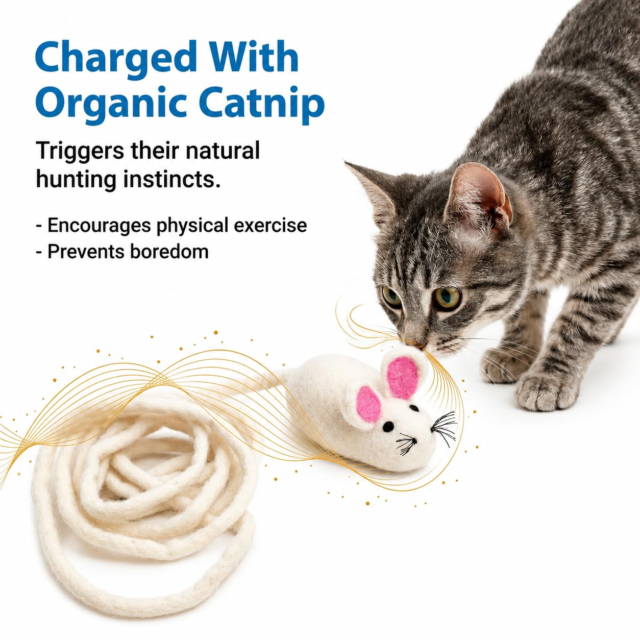 Glaciart One: échantillon de cataire inclus, attractif pour la plupart des chats